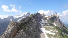 Alp