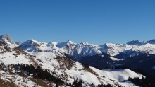 DSC03674
