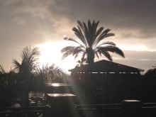 die ersten Tage Teneriffa 2013
