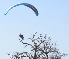 DSC04151
