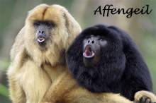 Affen