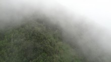 DSC04962