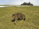 20150323_121245