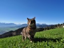 02 Startplatz Katz schöne Aussicht