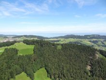 DSC00549