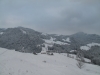 img_2361_1