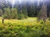 IMG_20140901_163800_1569885776
